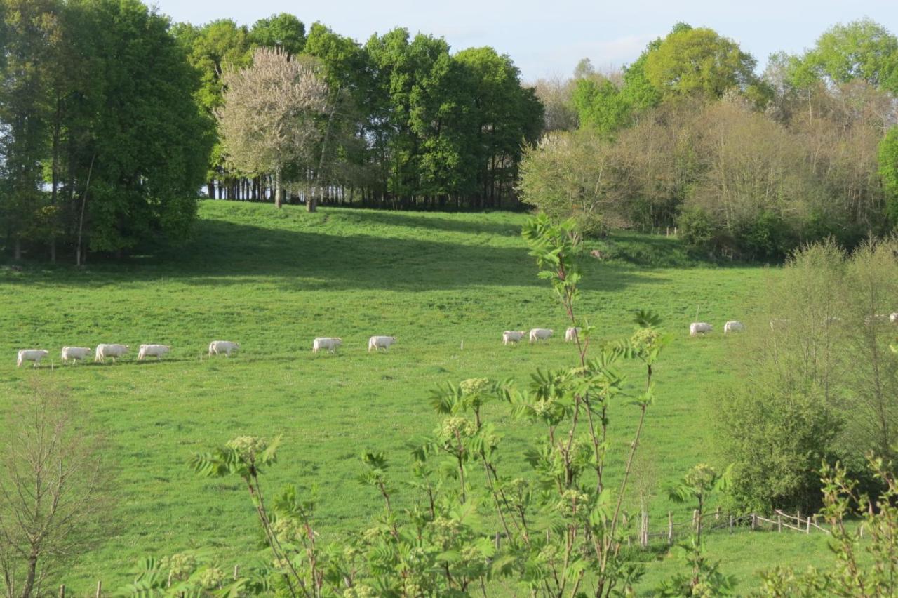 Gite Ecoconcu Charmant Proche Zoo De La Fleche Clermont-Creans Dış mekan fotoğraf